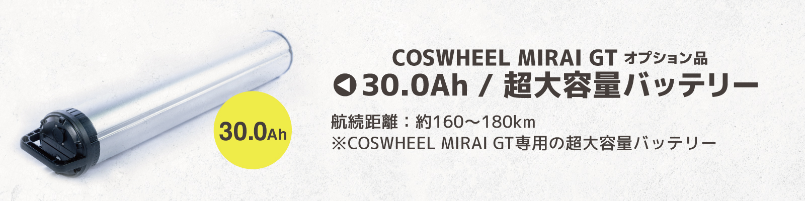 電動アシスト自転車 COSWHEEL MIRAI GT