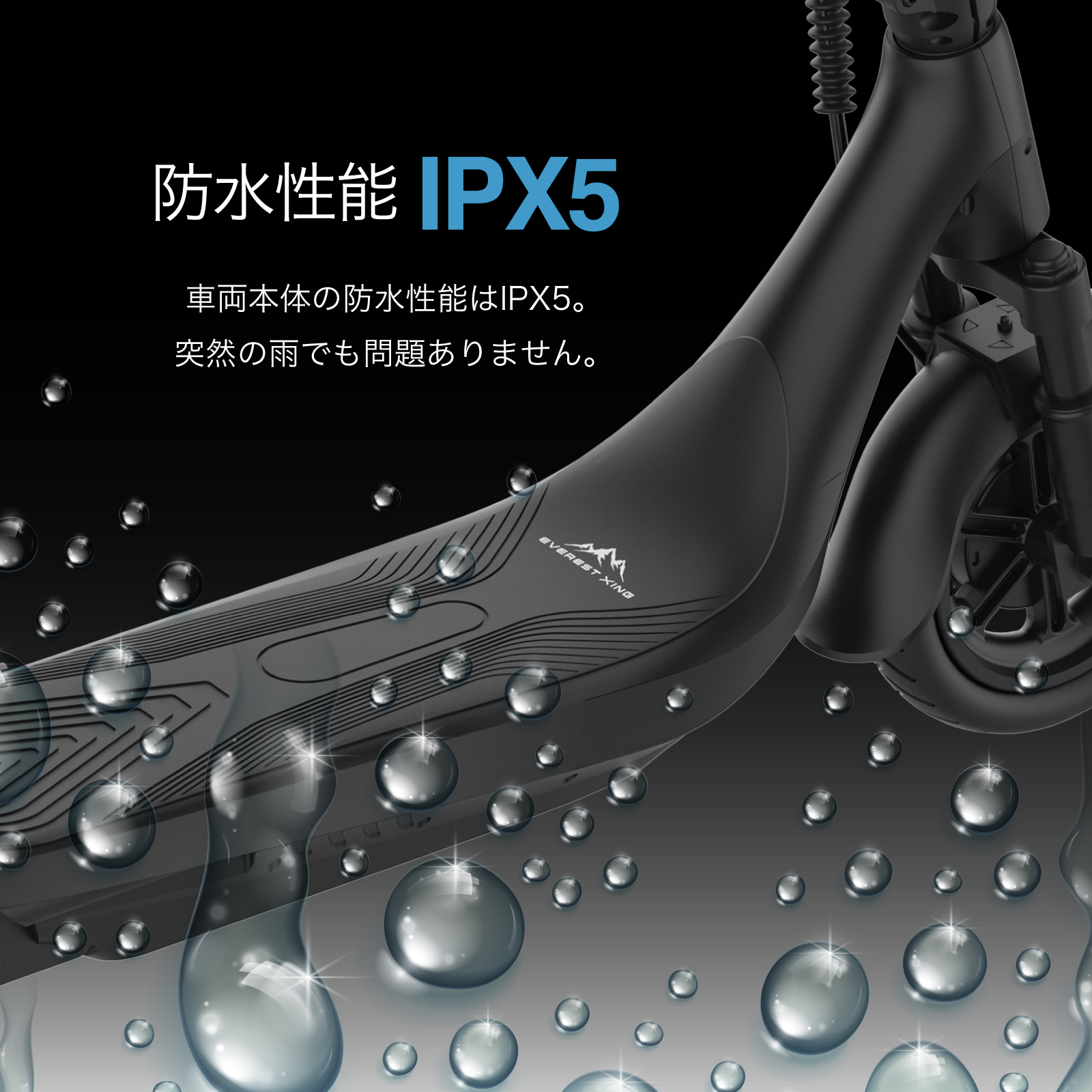 6万円以上購入特典対象 冬の挑戦応援キャンペーン】【お取り寄せ